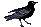 Crow