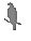 D:\Documents and Settings\Administrator\My Documents\My Pictures\newstuff\birdtiny_type_hawk_like_birds.gif
(29 x 38 x 16) (222 bytes)