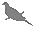 D:\Documents and Settings\Administrator\My Documents\My Pictures\newstuff\birdtiny_type_pigeon_like_birds.gif
(43 x 38 x 16) (239 bytes)