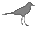 D:\Documents and Settings\Administrator\My Documents\My Pictures\newstuff\birdtiny_type_sandpiper_like_birds.gif
(44 x 38 x 32) (309 bytes)