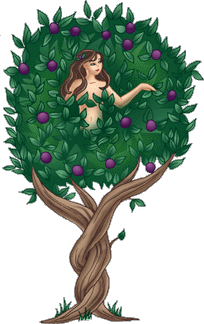 Dryad