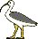Stork - Ibis