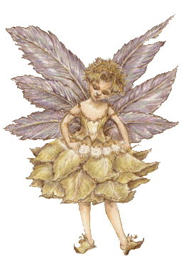 Feather Fairy