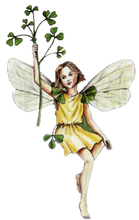 Irish Fairy