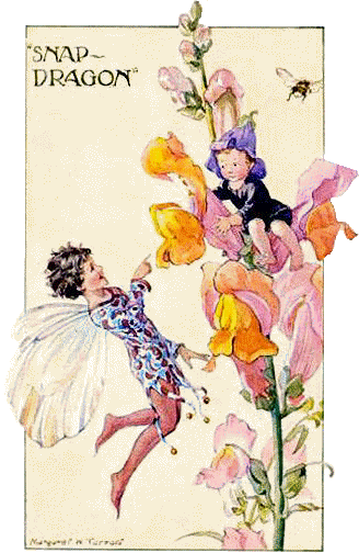 Margaret Tarrant - Fairy Flower - Snapdragon