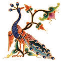 India - Peacock