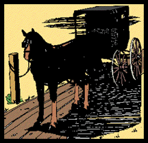Anabaptist - Amish Buggy